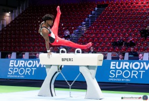 schwaiger alfred aut sfe07467 copia simone ferraro ph